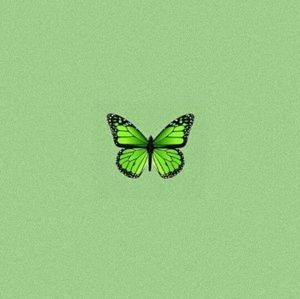 Meet your Posher, Hansika